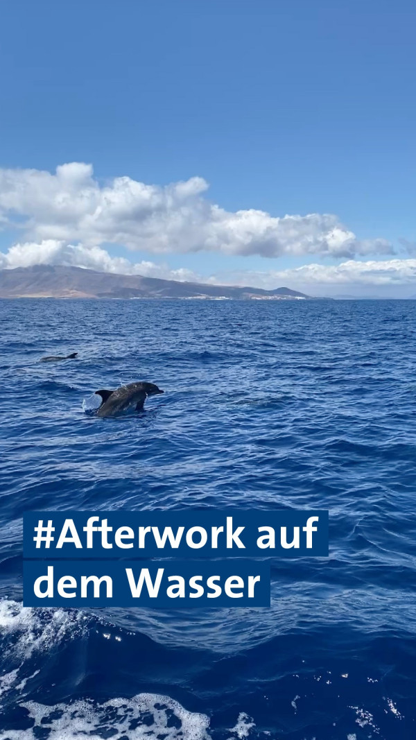 🐬 Unser After-Work? Das kommt mit Wellenrauschen – und guter Gesellschaft!Während andere in der Rush Hour stecken, sitzen wir gemeinsam auf dem Boot, spüren den Fahrtwind – und werden dabei von Delfinen begleitet 😍

Zusammen abschalten, Natur erleben, Energie tanken – und sich abends sagen:
„Genau deswegen bin ich hier.“

Lust, mit uns gemeinsam abzulegen? ✨

alltoursjobs alltoursRL FeierabendMitAussicht Delfine teamalltours Reiseleitung JobMitErlebnisfaktor AfterWorkVibes